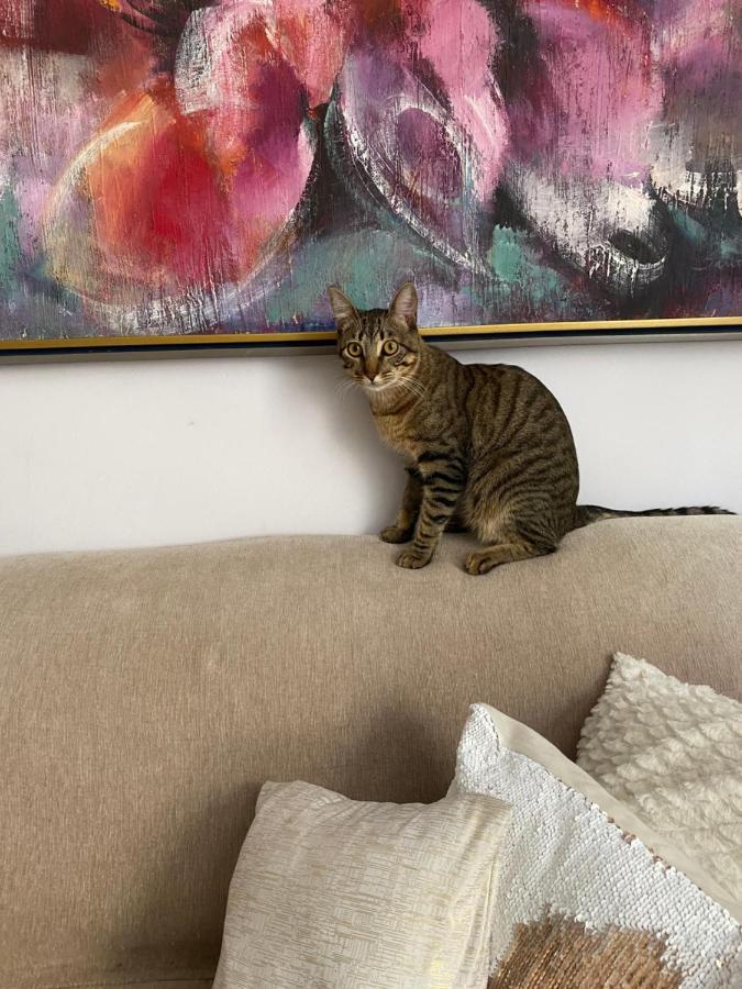 Bilingual Home Μπέλο Οριζόντε Εξωτερικό φωτογραφία